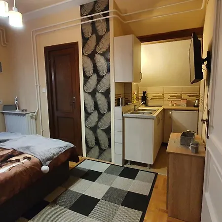 Agnes Vendeghazak Siofok-apartman 1 3* 希欧福克