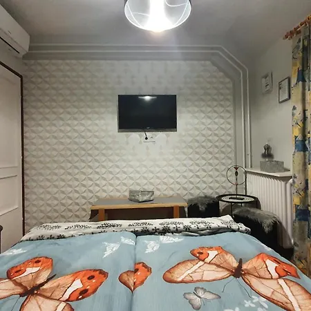 招待所 Agnes Vendeghazak Siofok-apartman 1 3*